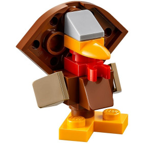 LEGO® Sklizeň na Den díkuvzdání