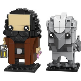 Hagrid & Buckbeak