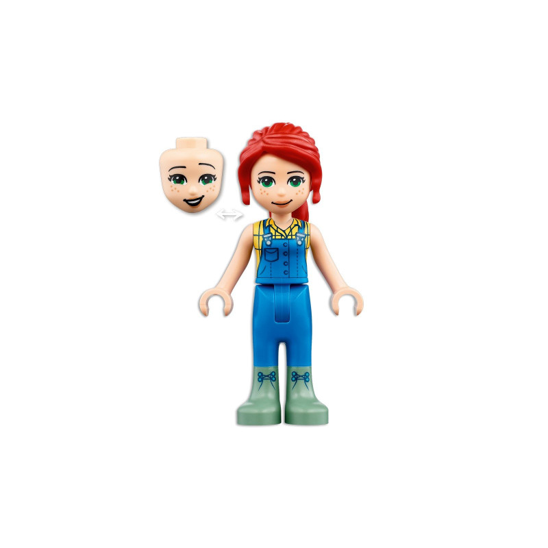 Dům př&aacute;telstv&iacute; na stromě