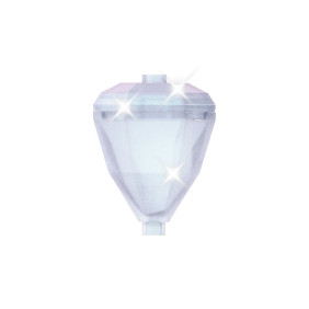 Anna a z&aacute;meck&eacute; n&aacute;dvoř&iacute;