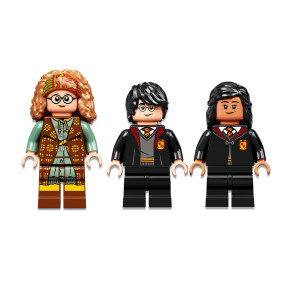 Kouzelné momenty z Bradavic: Hodina jasnovidectví