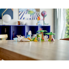 Mise Buzze Rakeťáka