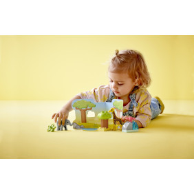 Divoká zvířata Afriky