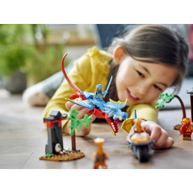 Drač&iacute; chr&aacute;m nindžů