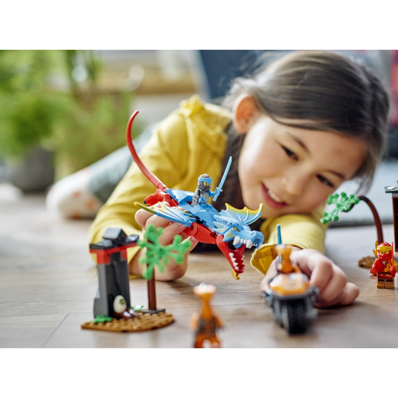 Drač&iacute; chr&aacute;m nindžů