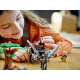 Bradavice: Kočár a testrálové