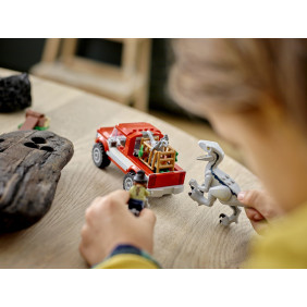 Odchyt velociraptorů Blue a Bety