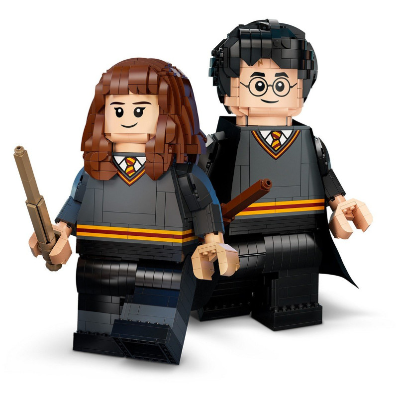 Harry Potter&trade; a Hermiona Grangerov&aacute;