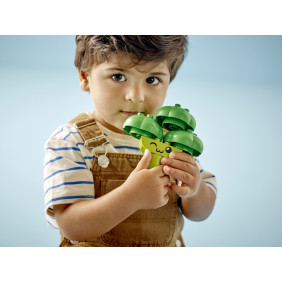 Traktor se zeleninou a ovocem