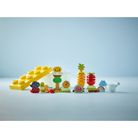 Bio zahrádka Bio zahrádka