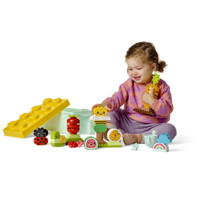 Bio zahrádka Bio zahrádka