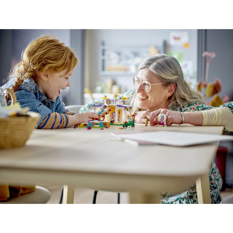 Výcvik koní Výcvik koní