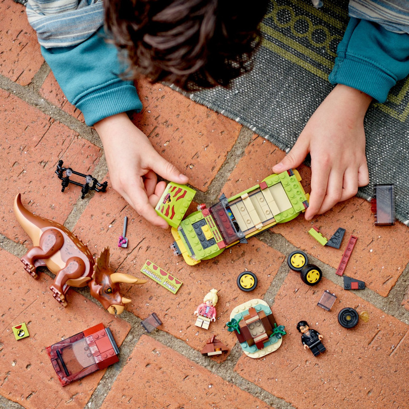 Zkoumání triceratopse​