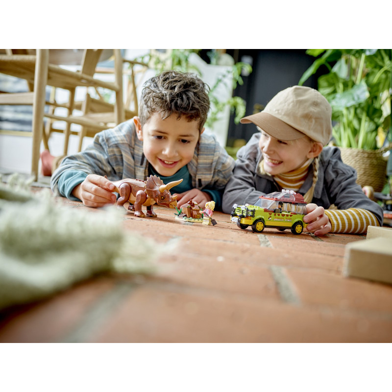 Zkoumání triceratopse​