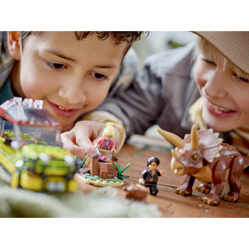 Zkoumání triceratopse​