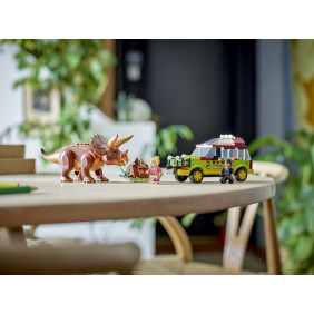 Zkoumání triceratopse​