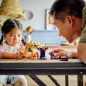 Arinův bojov&yacute; robot