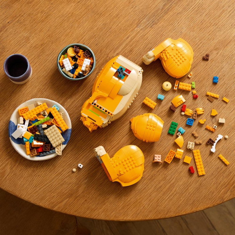 Mladý Simba ze Lvího krále