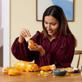 Mladý Simba ze Lvího krále