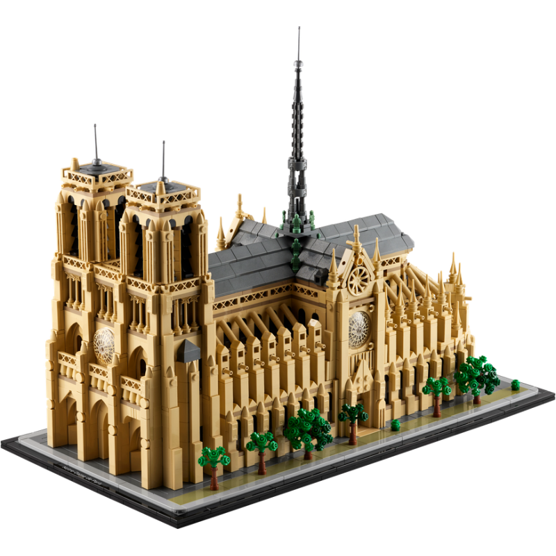Notre-Dame v Pař&iacute;ži