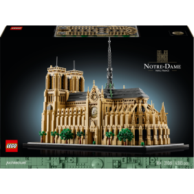 Notre-Dame v Pař&iacute;ži