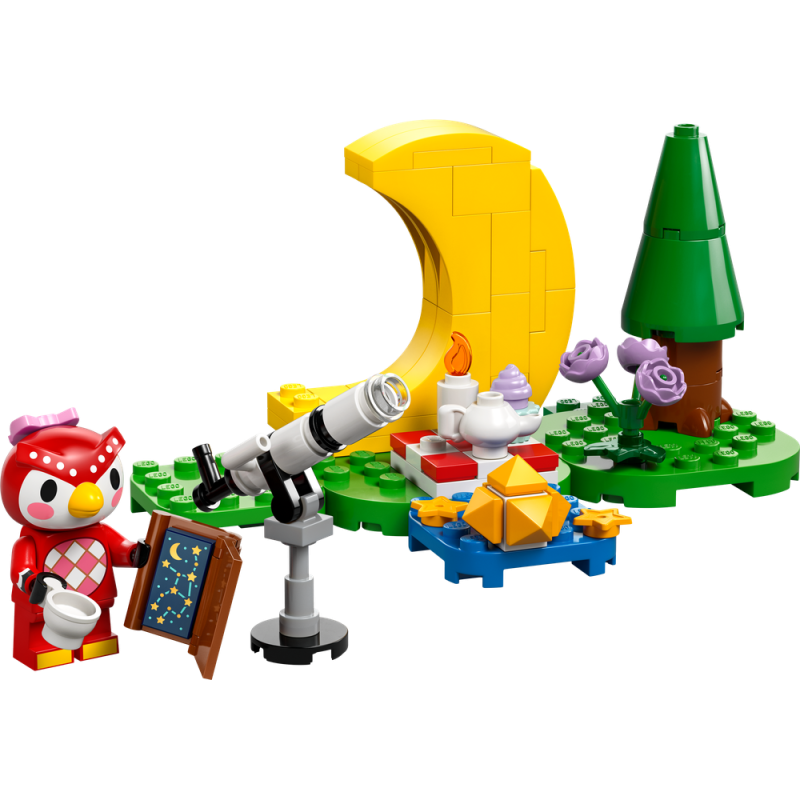 Pozorov&aacute;n&iacute; hvězd s Celeste