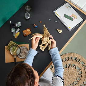 Dinosauří fosilie: Lebka triceratopse