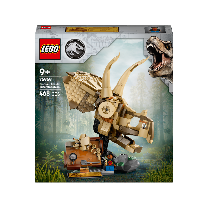 Dinosauří fosilie: Lebka triceratopse