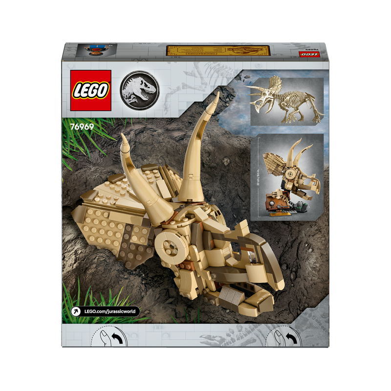 Dinosauří fosilie: Lebka triceratopse