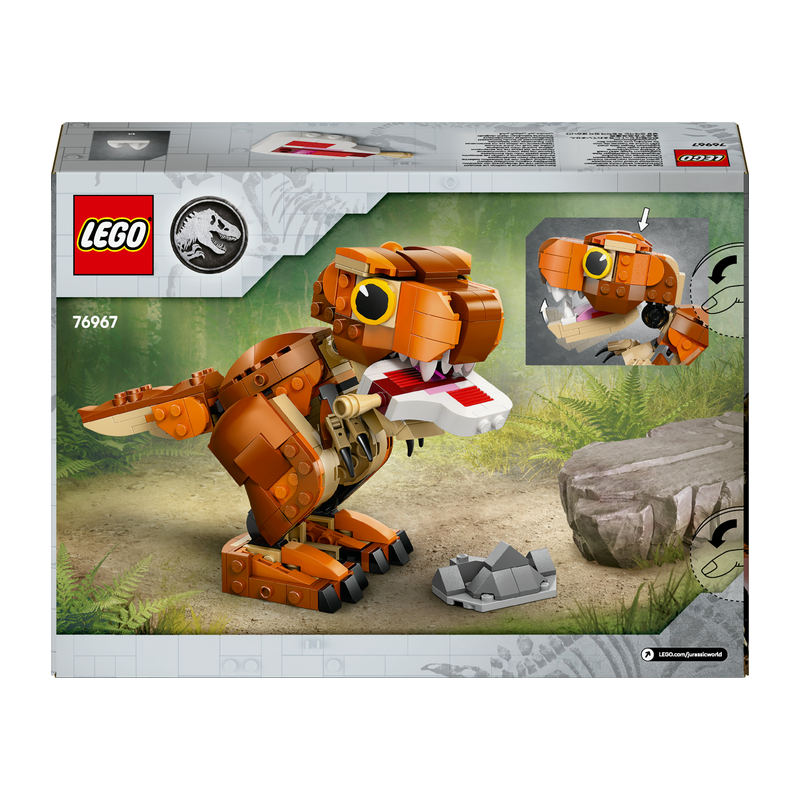 Mal&aacute; Žravka: T-rex