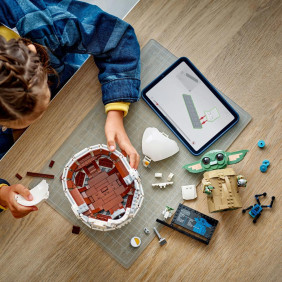 Grogu&trade; ve vzn&aacute;&scaron;ej&iacute;c&iacute;m se koč&aacute;rku