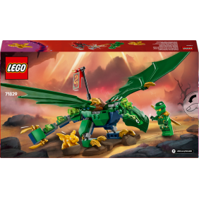 Lloydův zelený lesní drak