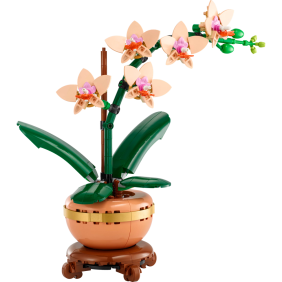 Miniaturní orchidej