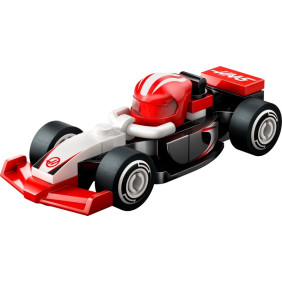 Z&aacute;vodn&iacute; auta F1&reg; - kompletn&iacute; s&eacute;rie (12 mini z&aacute;vodn&iacute;ch aut)