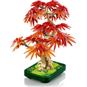 Bonsaj – Japonský červený javor