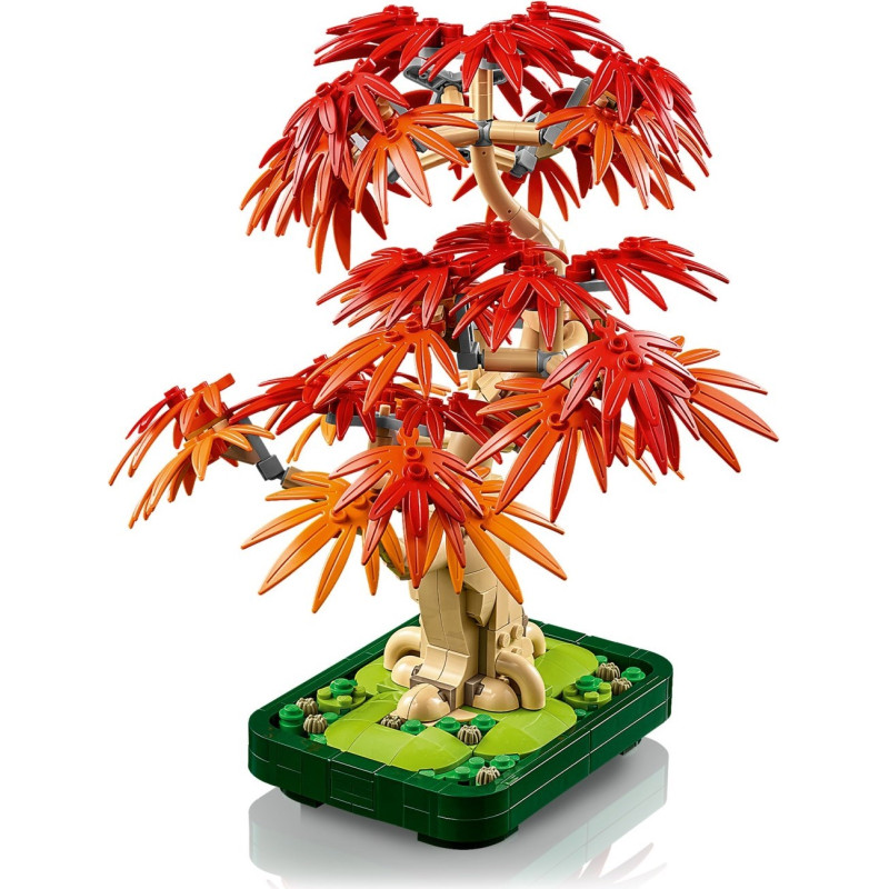 Bonsaj – Japonský červený javor