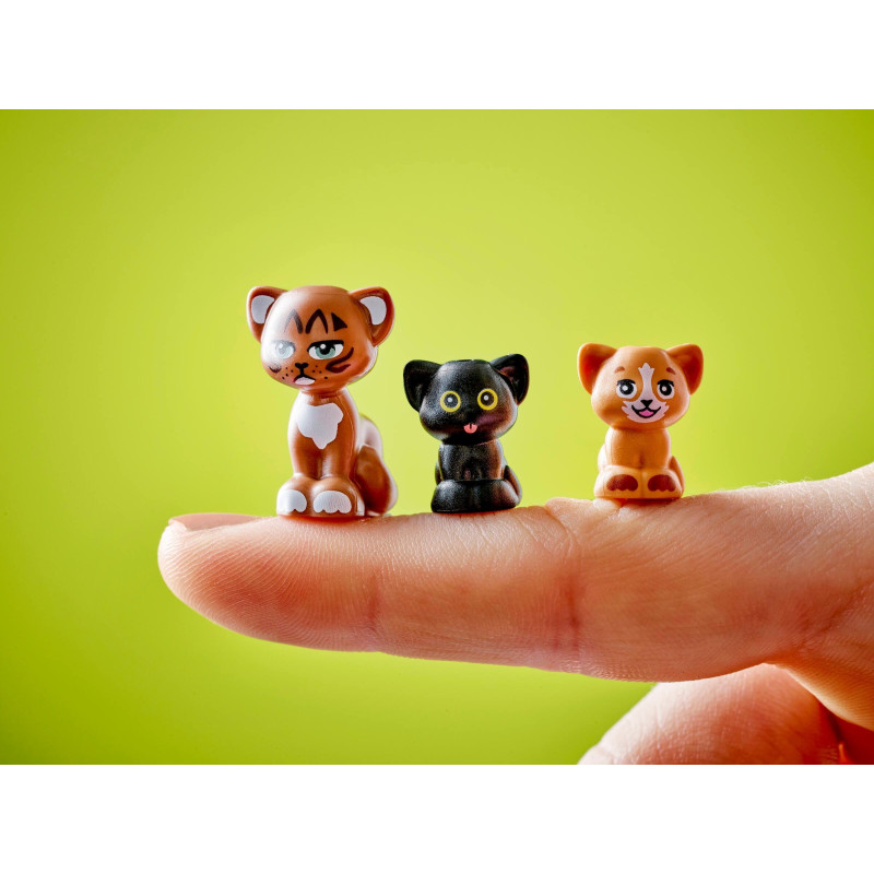 Kočičí narozeninová oslava a dům na stromě