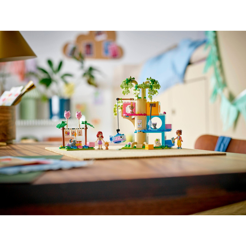 Kočičí narozeninová oslava a dům na stromě