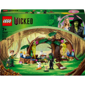 Elphaba a jej&iacute; &uacute;kryt