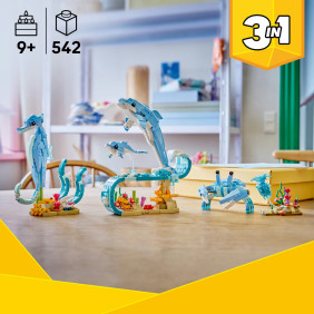 Moř&scaron;t&iacute; živočichov&eacute;: Kr&aacute;sn&iacute; delf&iacute;ni