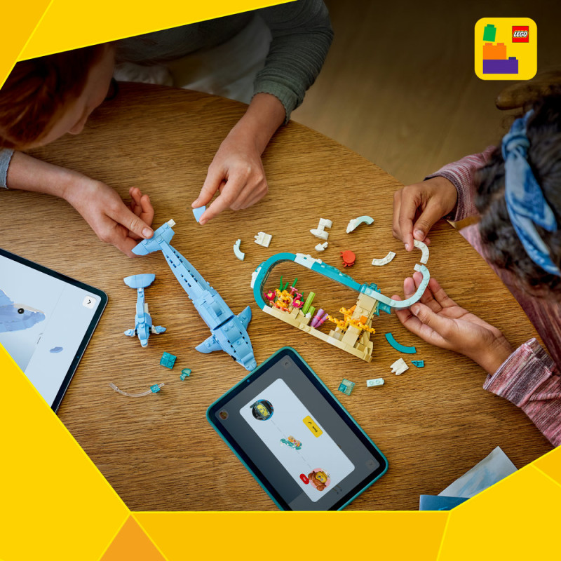 Moř&scaron;t&iacute; živočichov&eacute;: Kr&aacute;sn&iacute; delf&iacute;ni