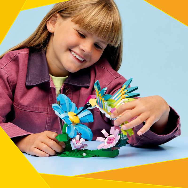 Divok&aacute; zv&iacute;řata: Barevn&yacute; kolibř&iacute;k