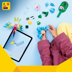 Divok&aacute; zv&iacute;řata: Barevn&yacute; kolibř&iacute;k