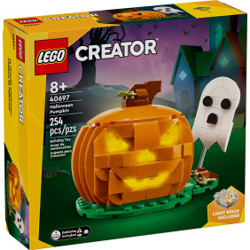 Halloweensk&aacute; d&yacute;ně