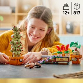 Rostliny z hodiny bylinkářství v Bradavicích