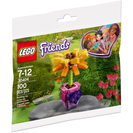 Friendship Flower (polybag)