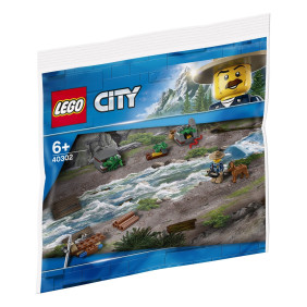 Become my City Hero (polybag)