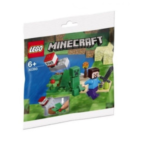 Steve and Creeper Set (polybag)