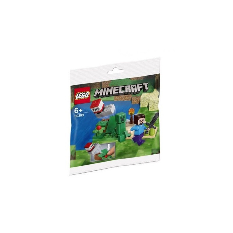 Steve and Creeper Set (polybag)