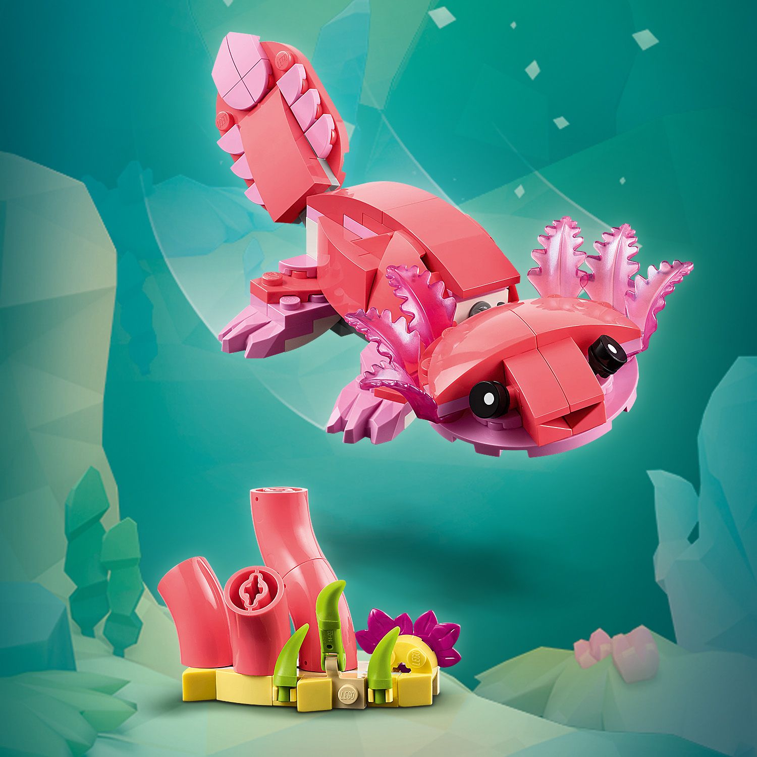 Růžový axolotl